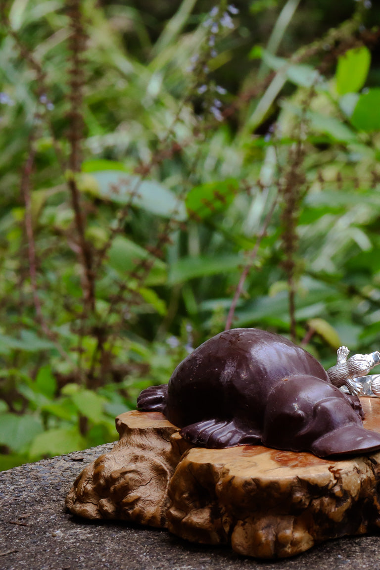 Platypus Jewellery, Maleny Queensland, Maleny Jewellers, Sunshine Coast Hinterland Jewellers